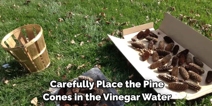 Carefully Place the Pine Cones in the Vinegar Water