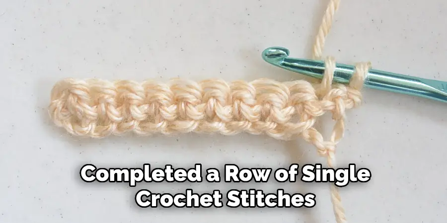 Completed a Row of Single Crochet Stitches