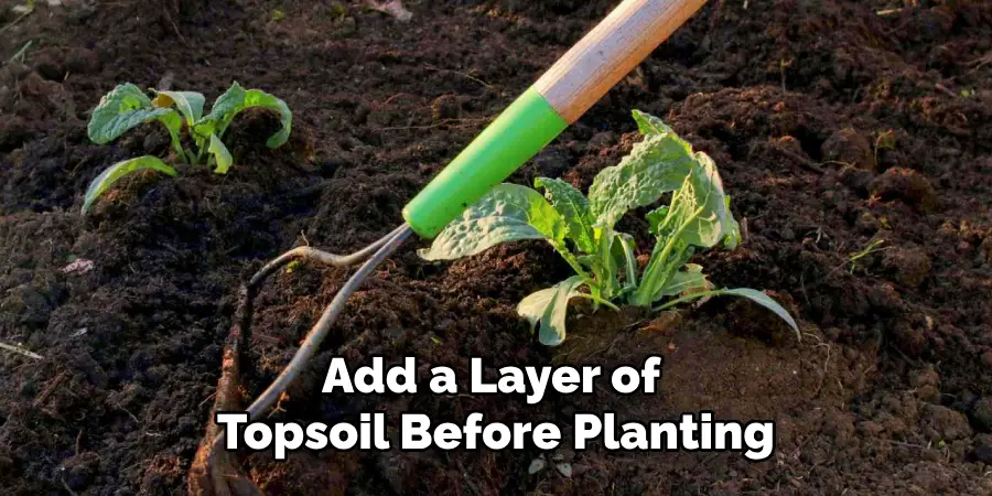 Add a Layer of Topsoil Before Planting
