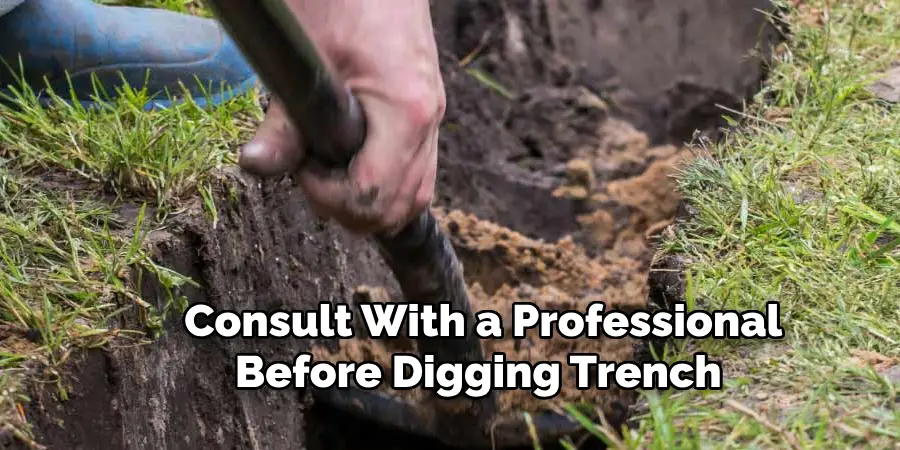 Consult With a Professional Before Digging Trench