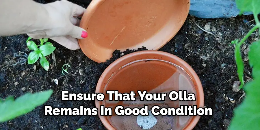 Ensure That Your Olla Remains in Good Condition