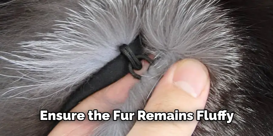 Ensure the Fur Remains Fluffy
