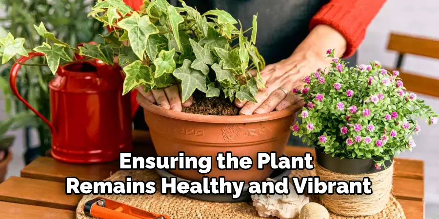 Ensuring the Plant Remains Healthy and Vibrant