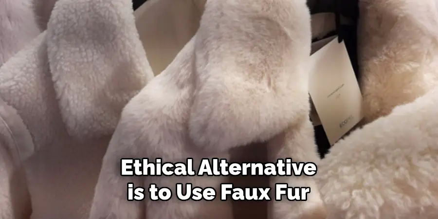 Ethical Alternative is to Use Faux Fur