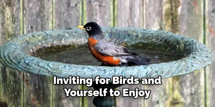 Inviting for Birds and Yourself to Enjoy