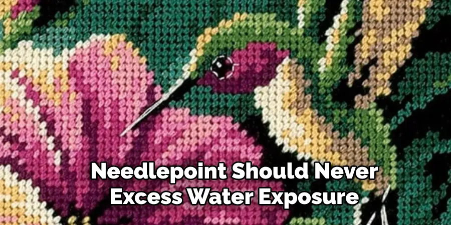 Needlepoint Should Never Excess Water Exposure