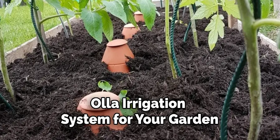 Olla Irrigation System for Your Garden