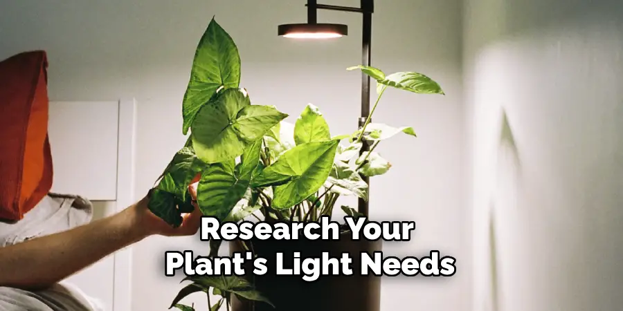 Research Your Plant's Light Needs