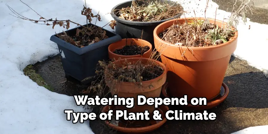 Watering Depend on Type of Plant & Climate