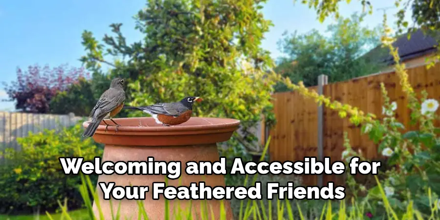 Welcoming and Accessible for Your Feathered Friends