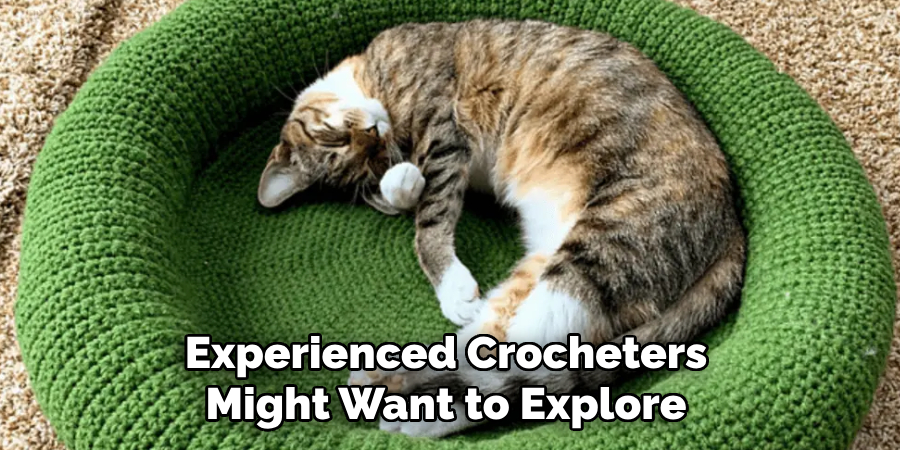 Experienced Crocheters Might Want to Explore