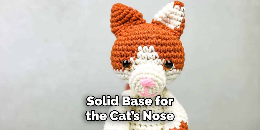 Solid Base for the Cat’s Nose