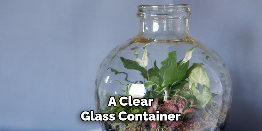 A Clear Glass Container