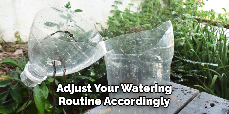 Adjust Your Watering Routine Accordingly