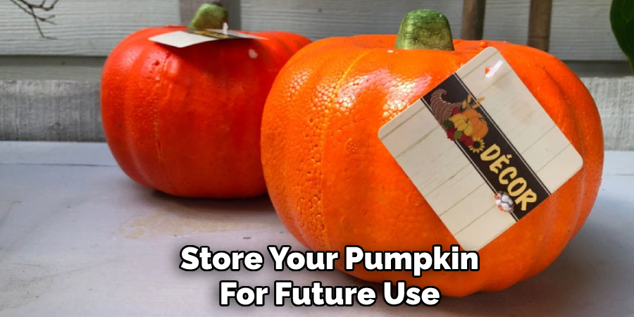 Store Your Pumpkin 
For Future Use