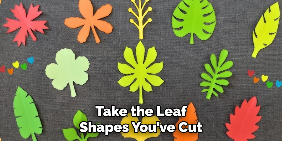 Take the Leaf Shapes You’ve Cut