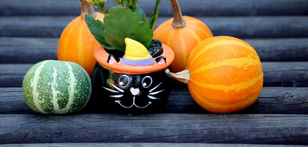 How to Decorate a Foam Pumpkin