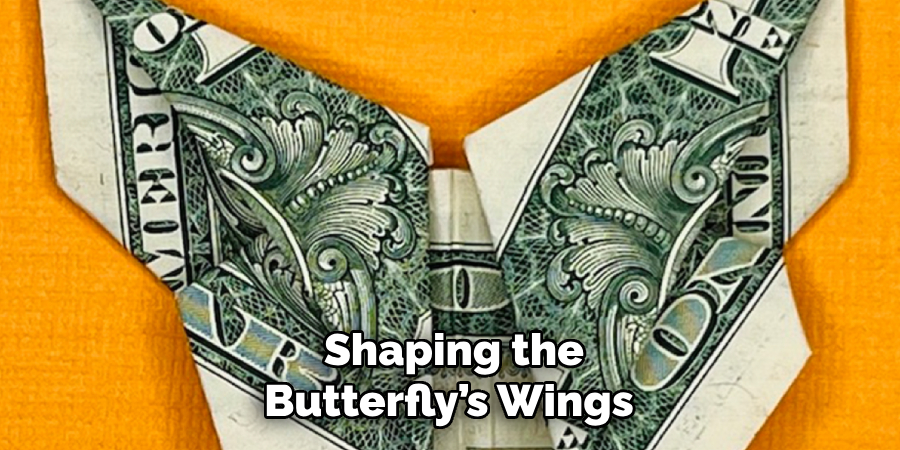 Shaping the
Butterfly’s Wings