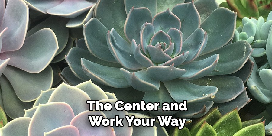 The Center and
Work Your Way