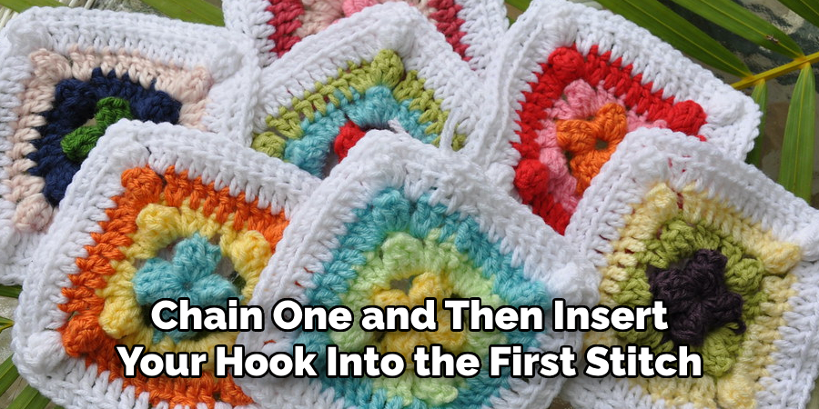 Chain One and Then Insert Your Hook Into the First Stitch