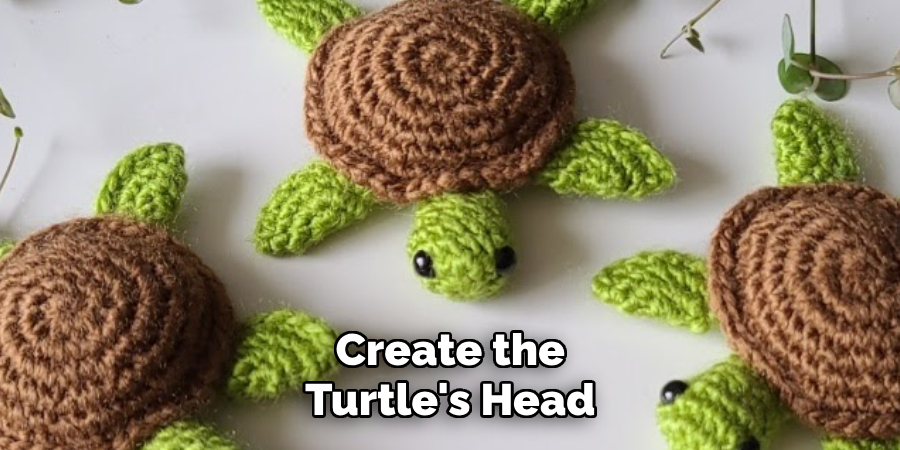 Create the Turtle's Head