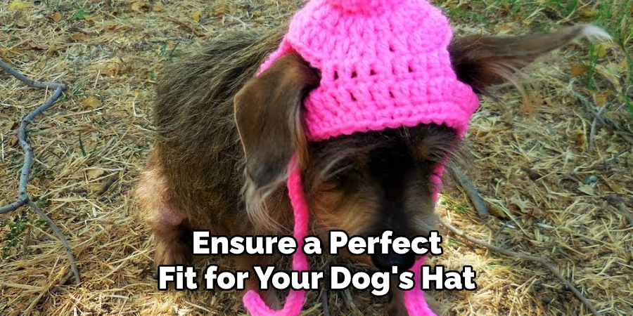 Ensure a Perfect Fit for Your Dog's Hat