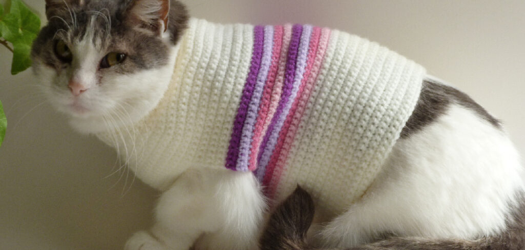 How to Crochet Cat Sweater