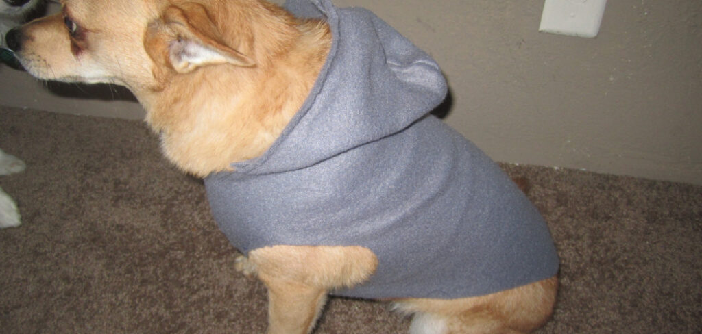 How to Make a Dog Hoodie