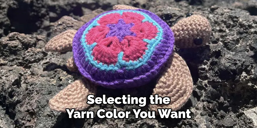 Selecting the Yarn Color You Want