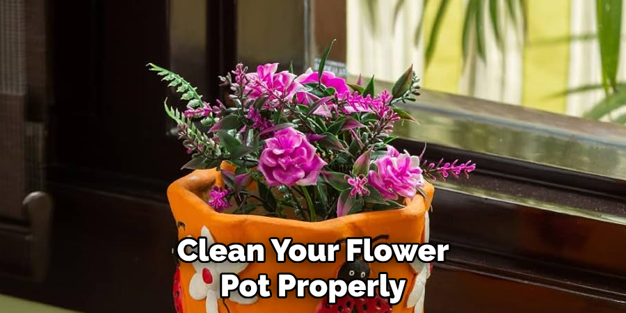 Clean Your Flower Pot Properly