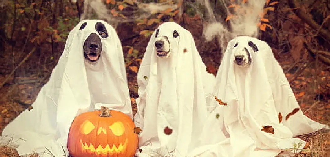 How to Make Ghost Dog Costume