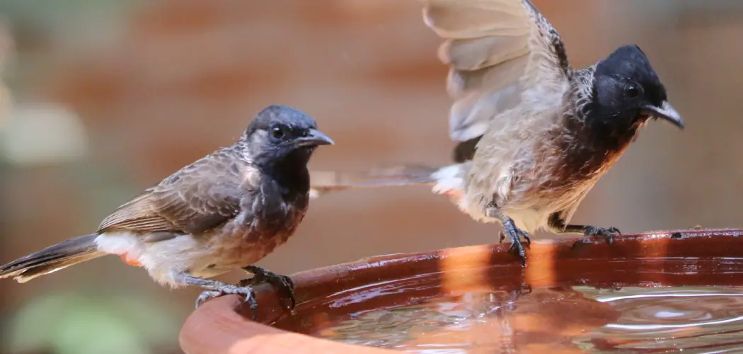 How to Make a Bird Bath From Clay Pots