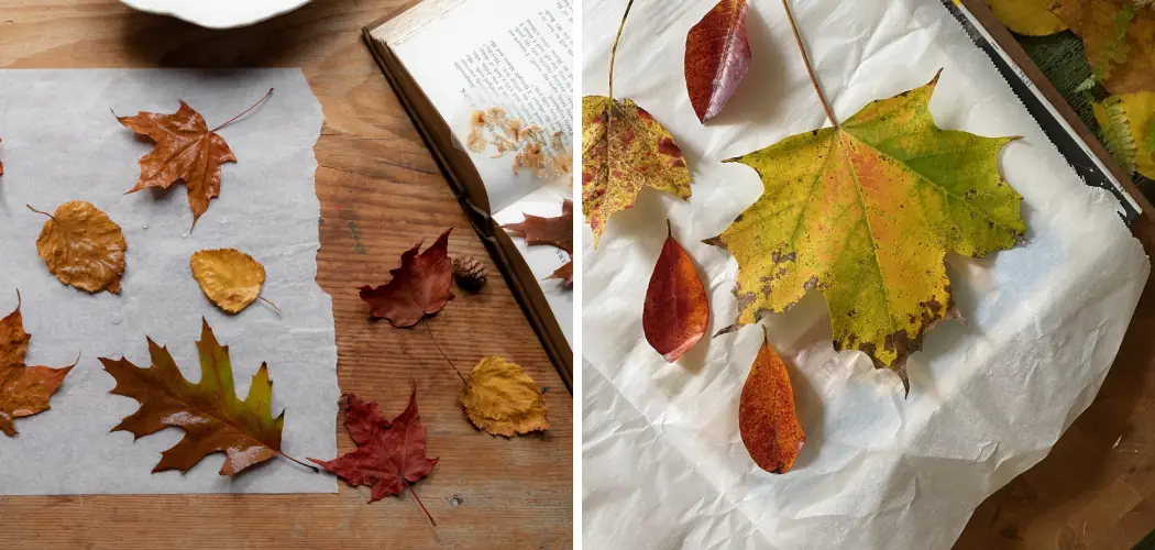How to Preserve Leaves With Mod Podge