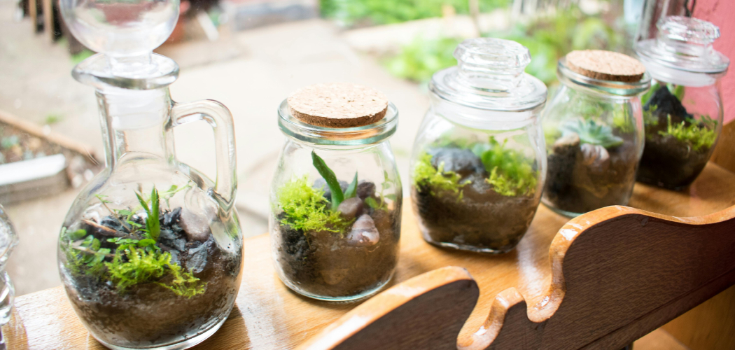 How to Make a Bottle Garden