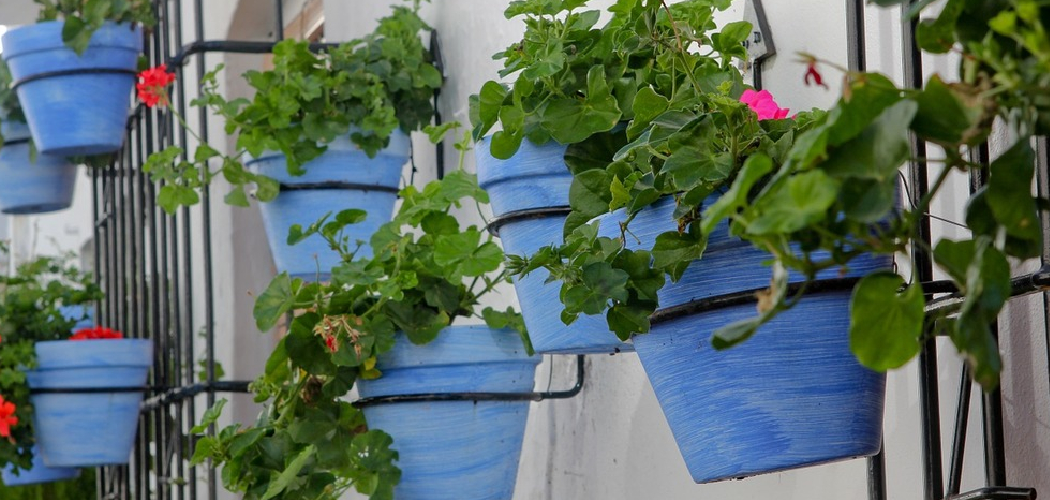 How to Make Hanging Planters