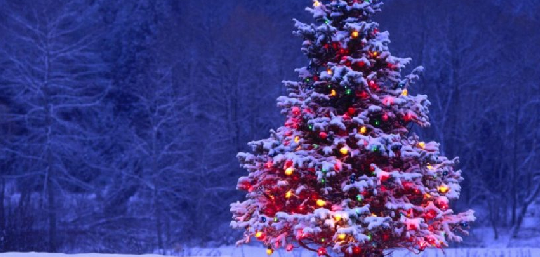 How to Quill a Christmas Tree