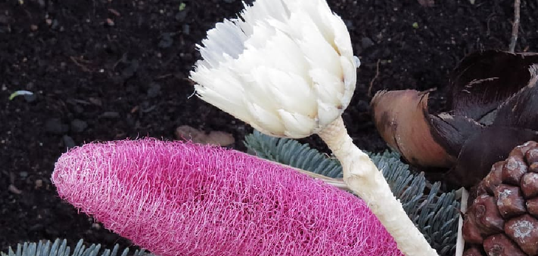 How to Crochet Puff Flowers