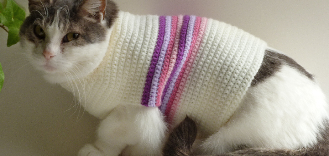 How to Crochet Cat Sweater